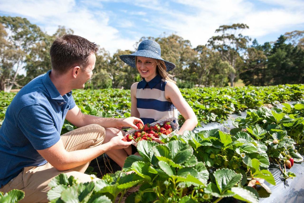 فندق Adelaide Hills Escape Woodside المظهر الخارجي الصورة