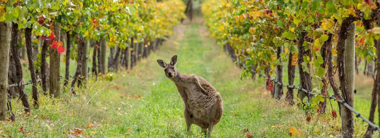 فندق Adelaide Hills Escape Woodside المظهر الخارجي الصورة